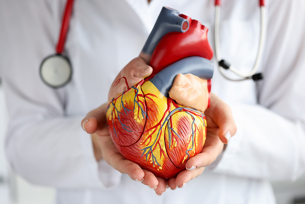 A doctor works at a desk in the hospital discussing heart conditions such as heart valve problems.